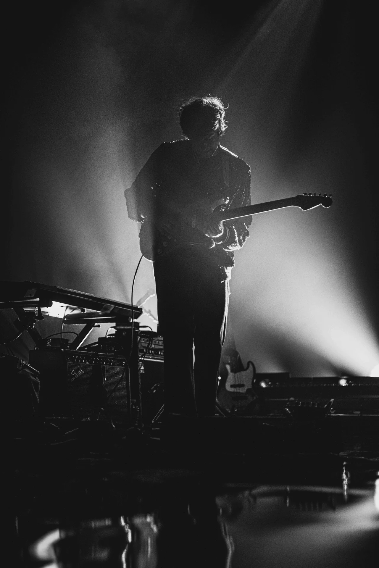 Beach House Concert - photo 23 of 38